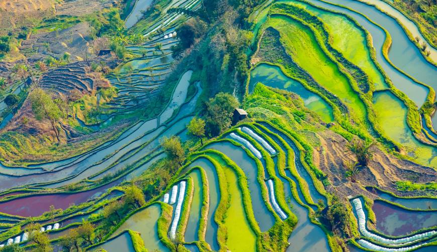 走进城口TVC拍摄：解锁本地化场景与创意镜头的完美融合